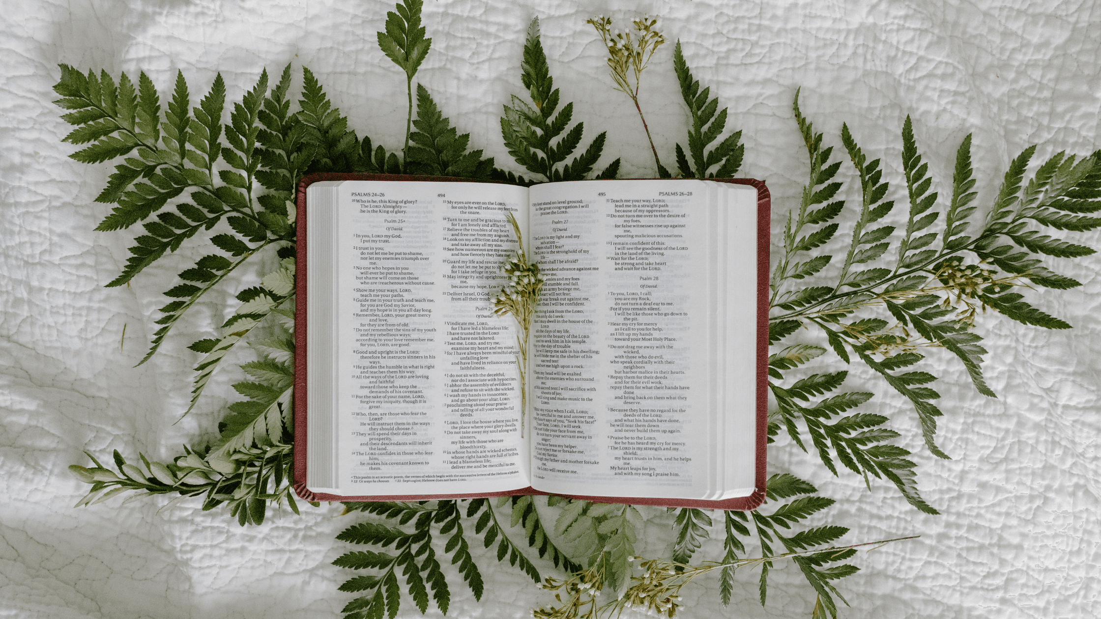 Prayer for guidance and wisdom